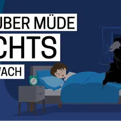 Müde tagsüber, nachts immer wach. Ein Schaf zählt Lämmer, doch die Insomnie Symptome halten die Person wach.