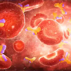 Die komplexe Diagnostik von Autoimmunerkrankungen verstehen