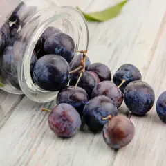 Pflaumen rollen aus einem Glas, einige mit Stielen. Sie erinnern an die gesunden Inhaltsstoffe wie Resveratrol, was ist das?