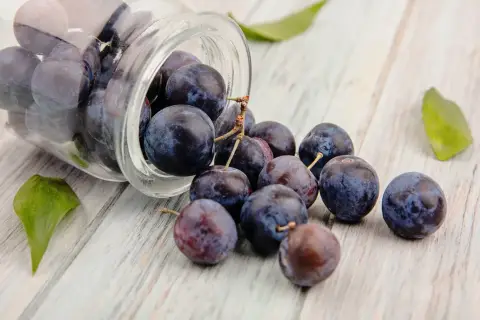 Pflaumen rollen aus einem Glas, einige mit Stielen. Sie erinnern an die gesunden Inhaltsstoffe wie Resveratrol, was ist das?