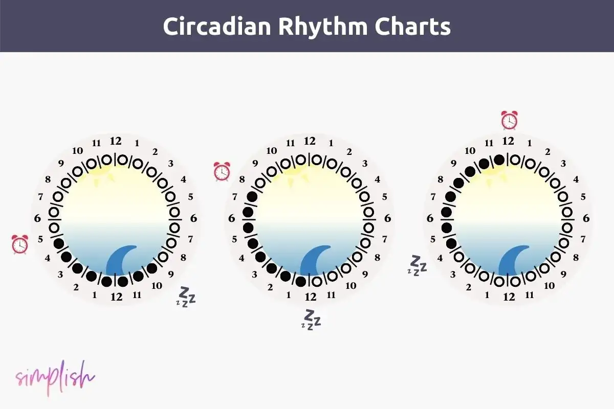 Drei Kreise zeigen verschiedene Schlafrhythmen mit Sonne, Mond und Schlaf-Symbolen.