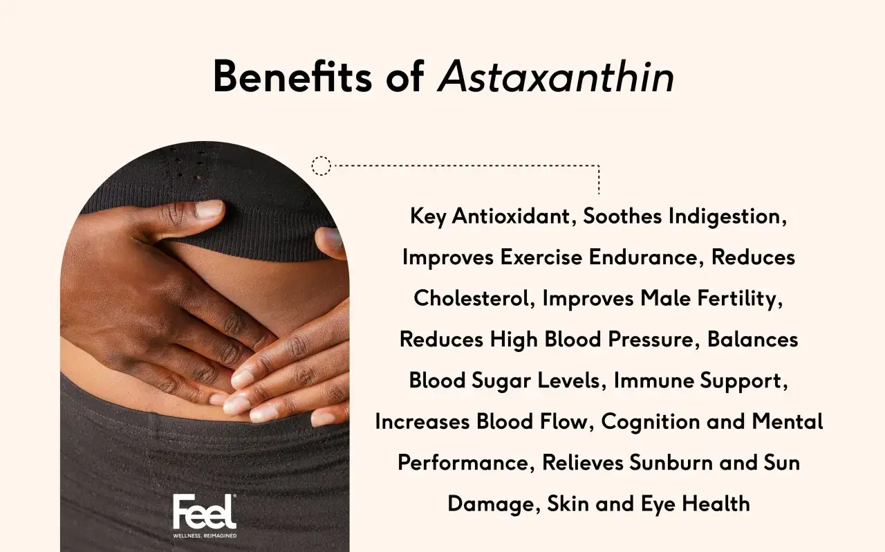 Hände auf dem Bauch, die die Vorteile von Astaxanthin hervorheben: starkes Antioxidans, gut für Verdauung, Ausdauer, Cholesterin, Fruchtbarkeit, Blutdruck, Blutzucker, Immunsystem, Durchblutung, Gehirn, Haut und Augen.