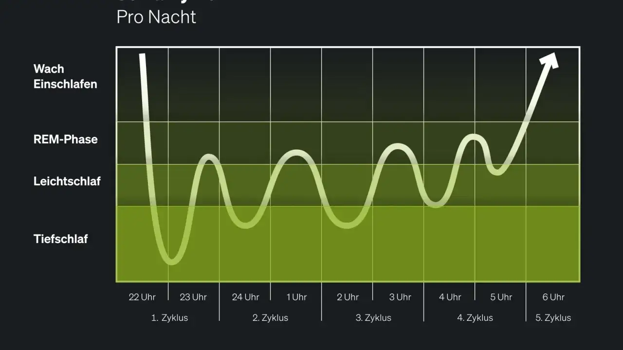 Schlafanalyse: Wellen zeigen Schlafphasen (Wach, REM, Leicht-, Tiefschlaf) über die Nacht. Für die beste schlafzeit ist ein ausgewogener Zyklus wichtig.