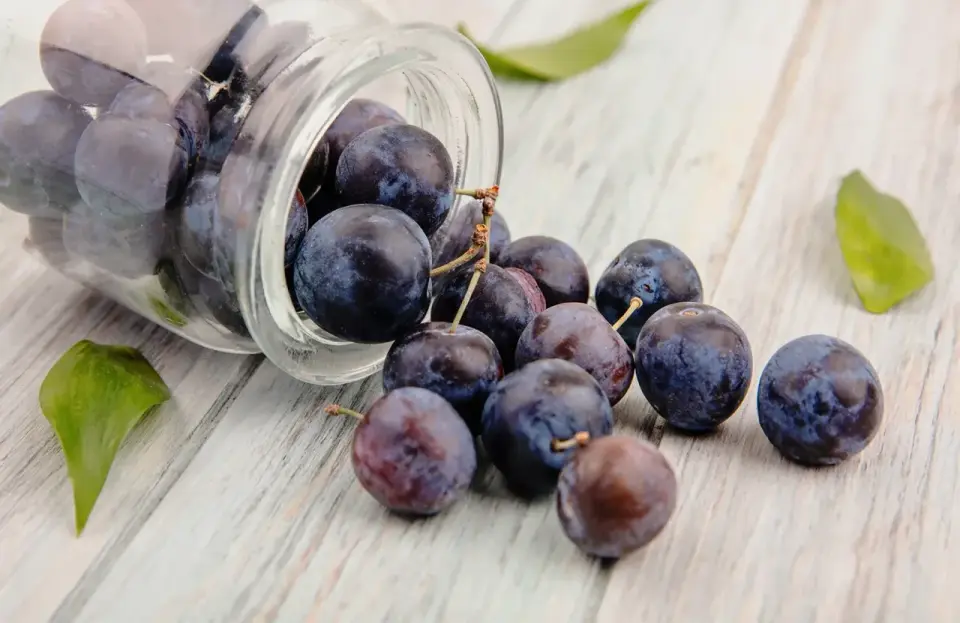 Resveratrol - was es kann und wo die Grenzen liegen